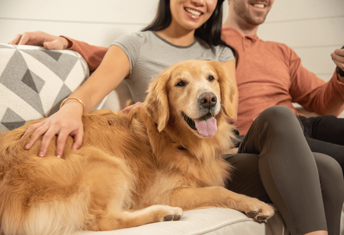 IAMS Dog Food Only the Highest Quality Ingredients