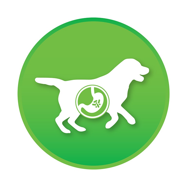 <p><strong>REDUCES AMMONIA LEVEL & FAECAL ODOUR</strong><br>Bacillus Subtilis helps degrade organic matter in the feces, reduce ammonia production and fecal odor.</p>