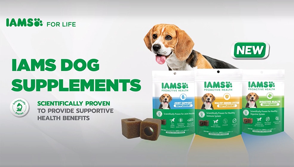dog supplements