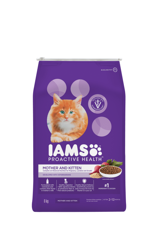 Mom and kitten food shop