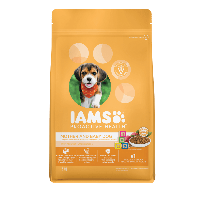 Healthy food for my dog clearance