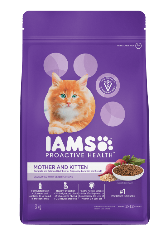 Iams kitten hot sale