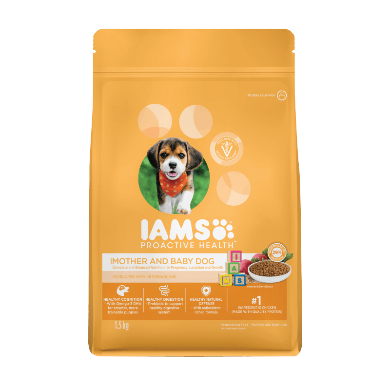 Food for newly delivered mother dog 2025