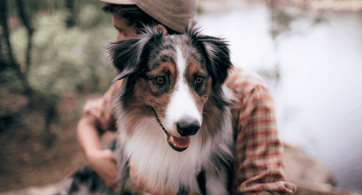 Dogs love hugs cheap