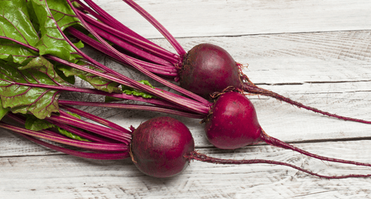 Beet pulp for dogs outlet